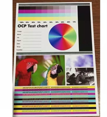 ورقة بطاقة PVC للطباعة بنفث الحبر على الوجهين لطابعات Epson و Canon بنفث الحبر، تفاوت الحجم /-0.5 مم MIP-DS-W