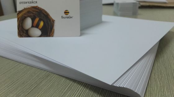 صور عالية الوضوح Konica Digital Printing Pvc Sheets لإنتاج بطاقة Pvc